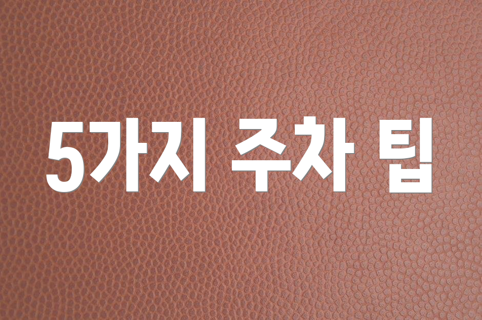 5가지 주차 팁