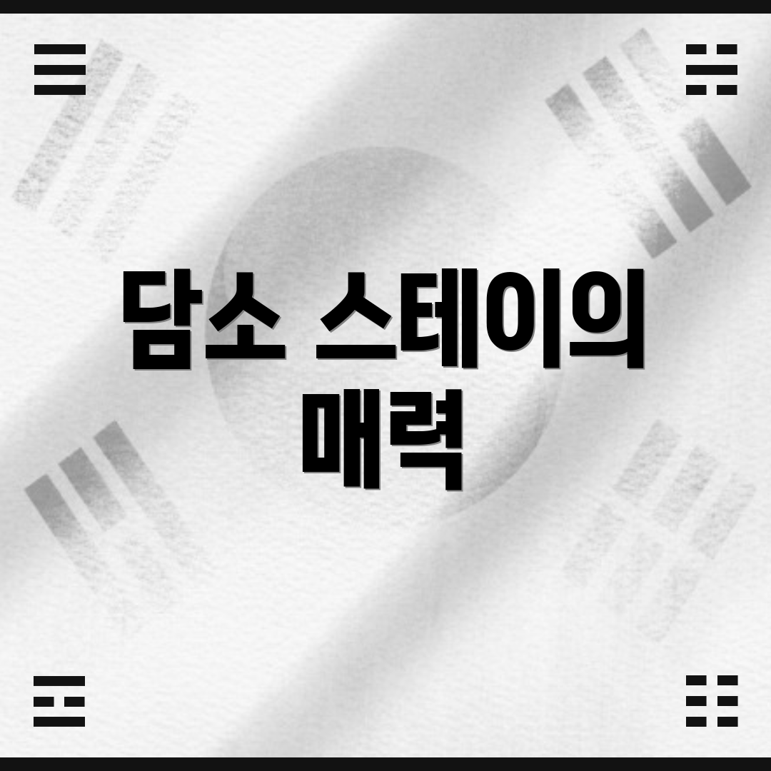 담소 스테이의 매력