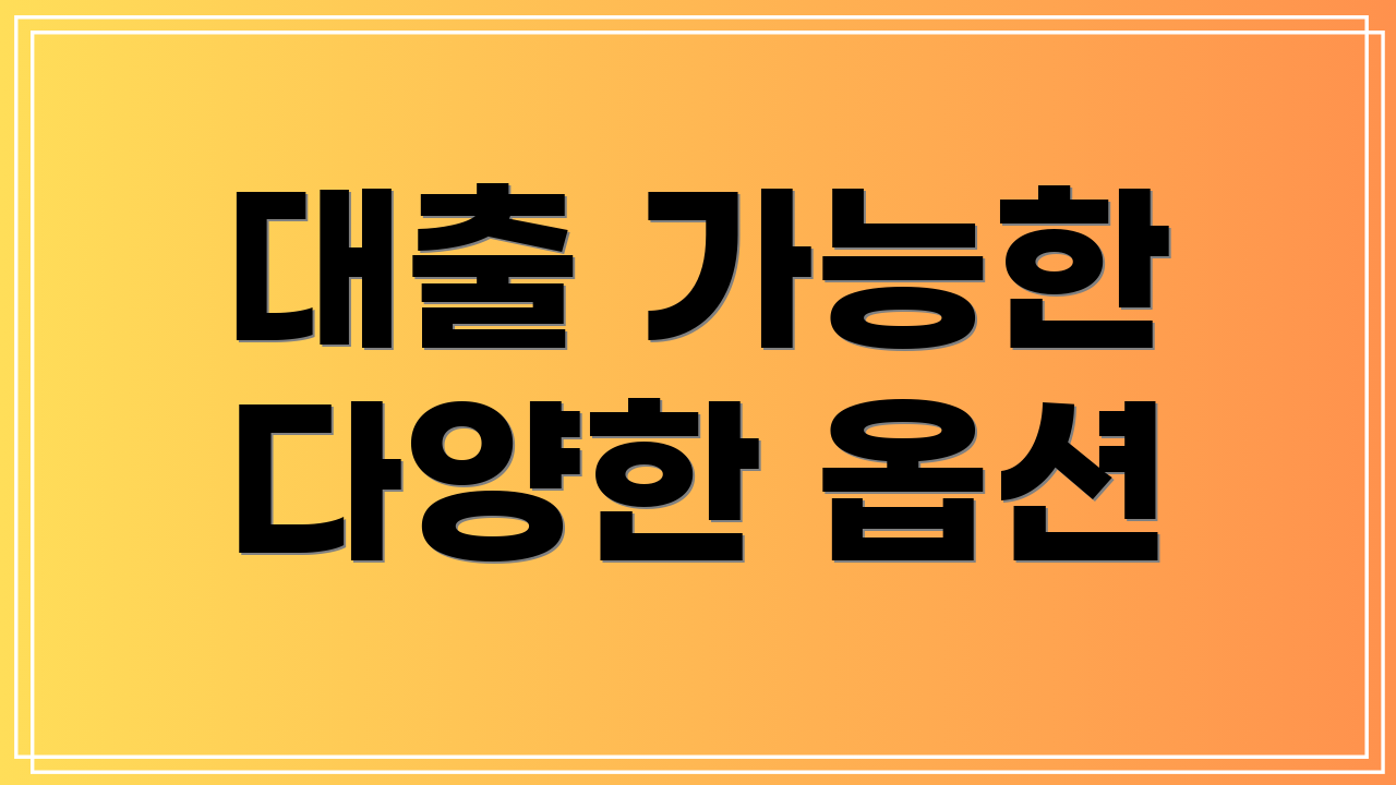 대출 가능한 다양한 옵션