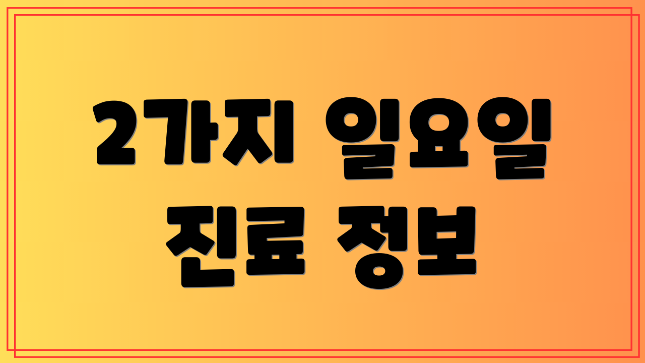 2가지 일요일 진료 정보
