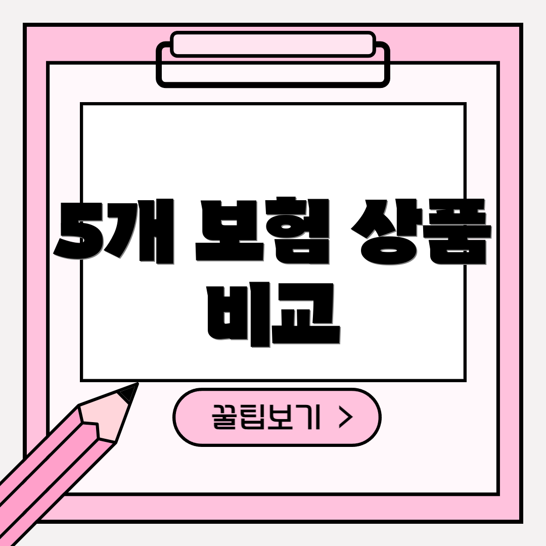 5개 보험 상품 비교