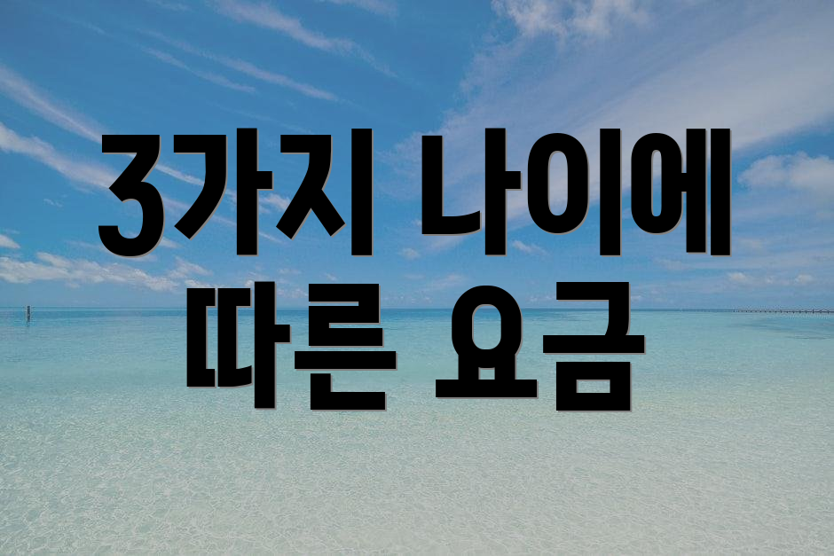 3가지 나이에 따른 요금