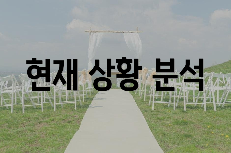 현재 상황 분석