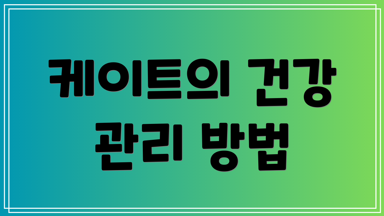 케이트의 건강 관리 방법