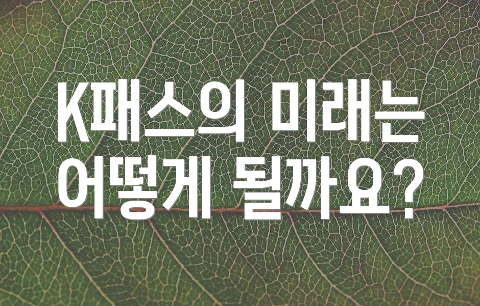 K패스의 미래는 어떻게 될까요?