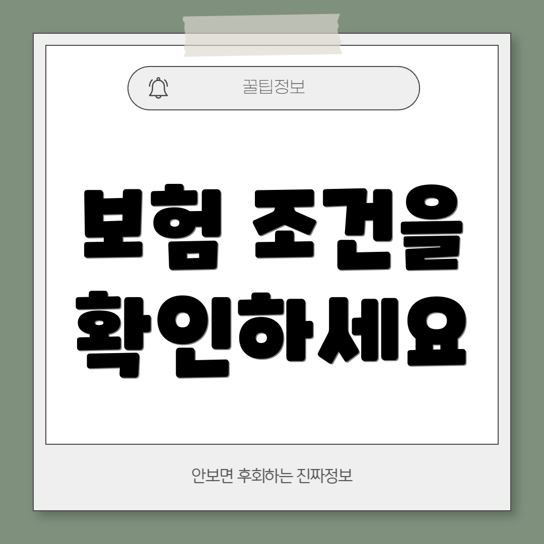 보험 조건을 확인하세요