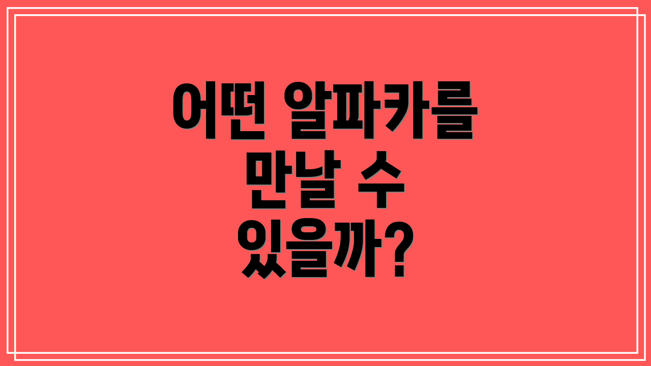 어떤 알파카를 만날 수 있을까?
