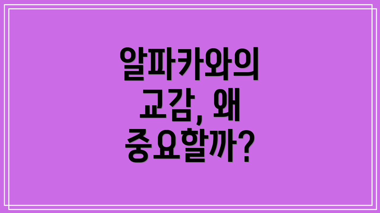 알파카와의 교감, 왜 중요할까?