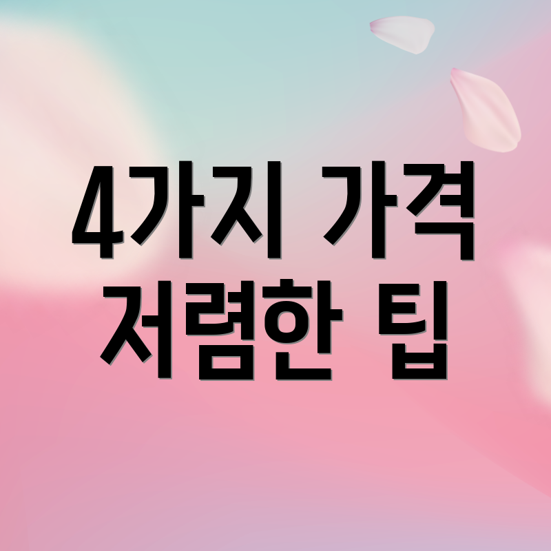 4가지 가격 저렴한 팁