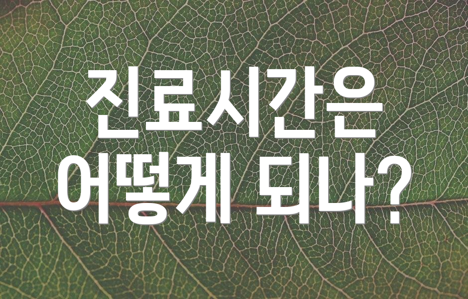 진료시간은 어떻게 되나?
