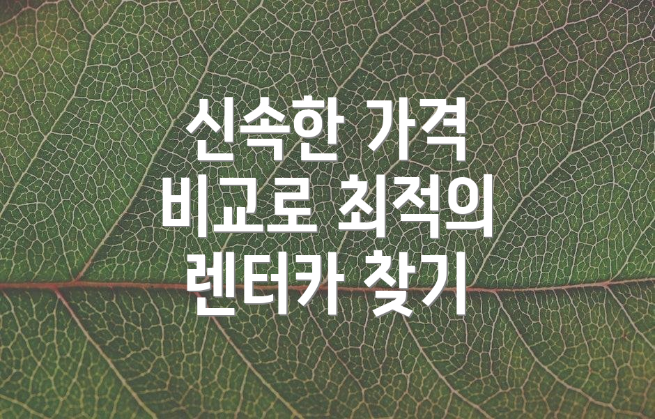 신속한 가격 비교로 최적의 렌터카 찾기