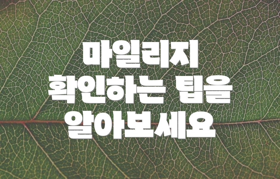 마일리지 확인하는 팁을 알아보세요