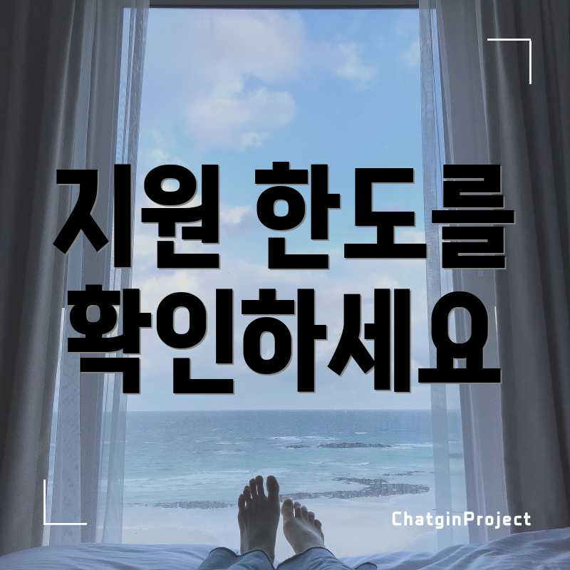 지원 한도를 확인하세요
