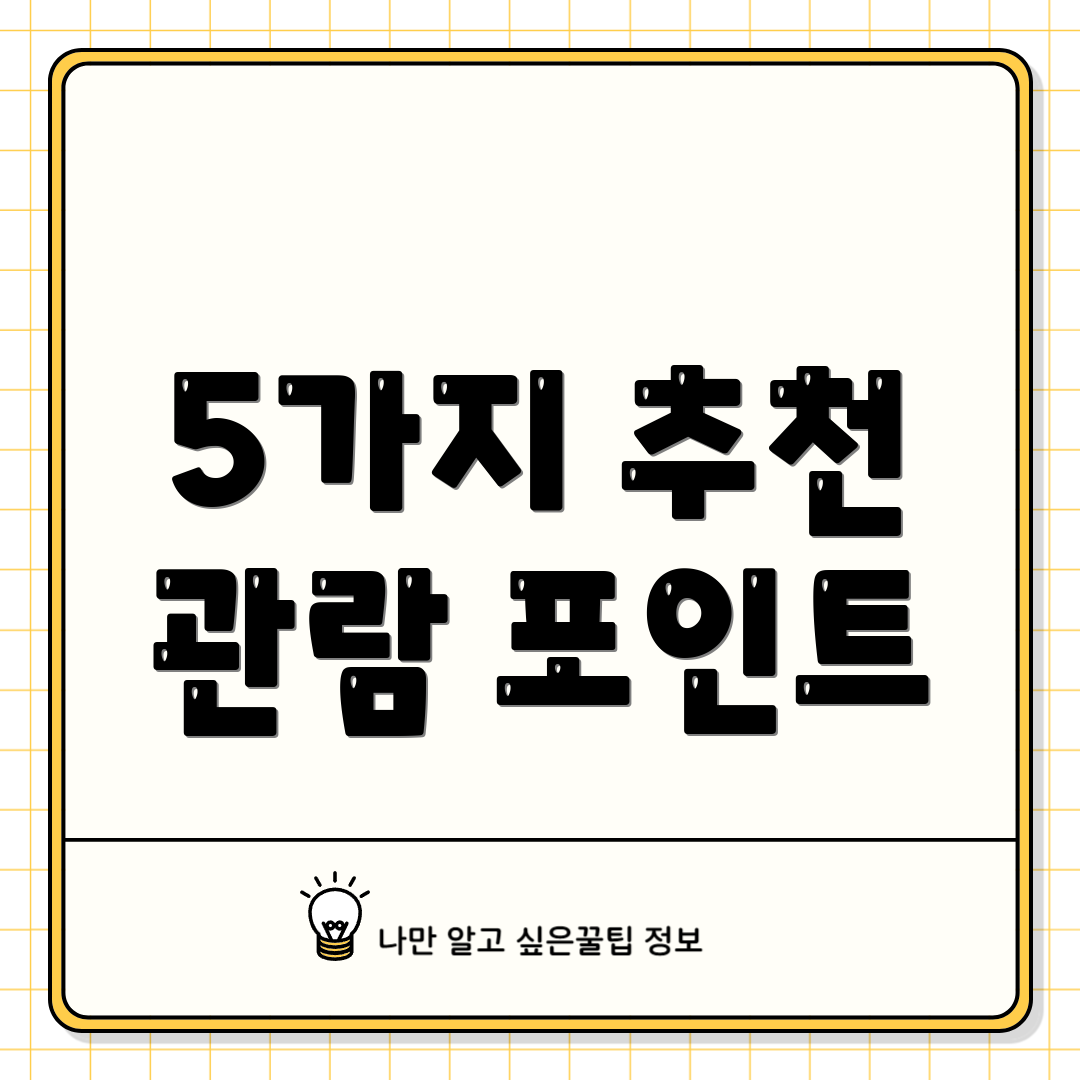 5가지 추천 관람 포인트