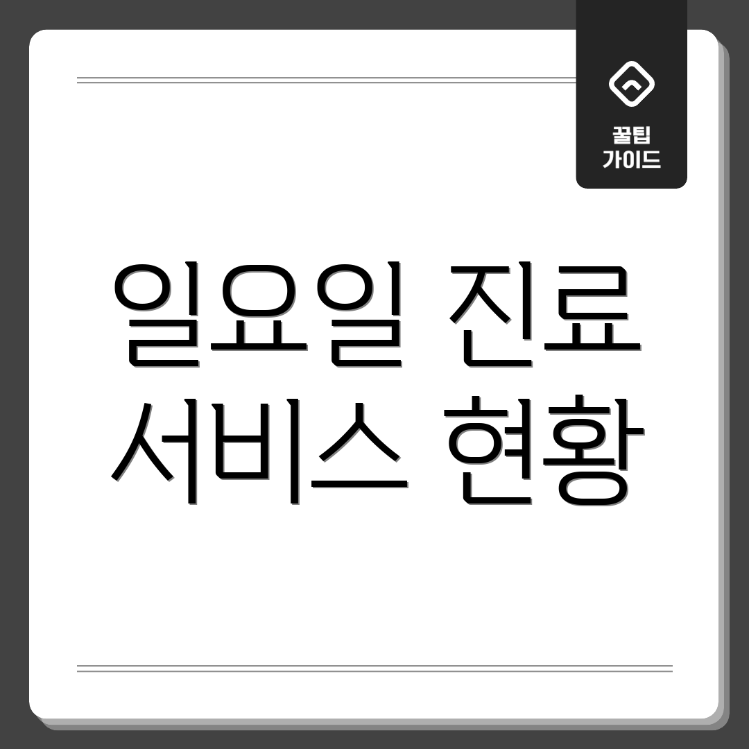 일요일 진료 서비스 현황