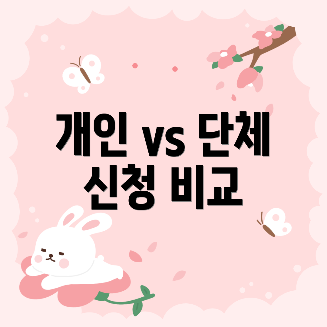 개인 vs 단체 신청 비교
