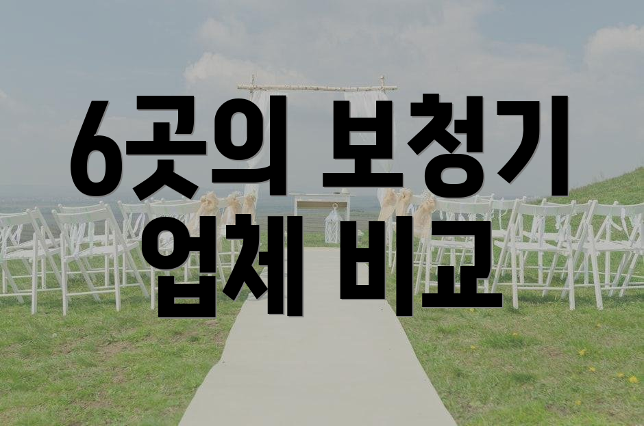 6곳의 보청기 업체 비교