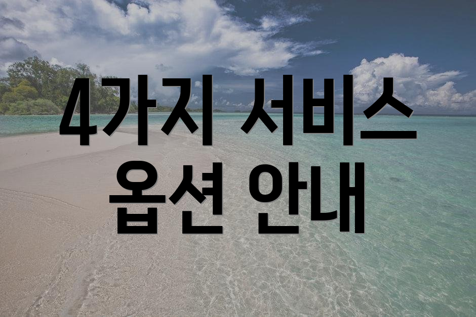 4가지 서비스 옵션 안내