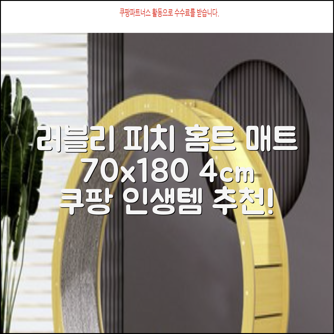 홈베스트 트레이닝 매트 70x180x4cm, 러블리_피치 추천 리뷰